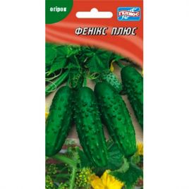 Огурец Феникс Плюс