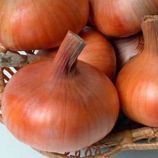 Лук репчатый Штутгартер Ризен