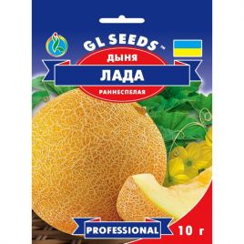 Дыня Лада