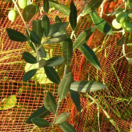 Сетка Плурима для сбора и сушки плодов 5х6мм оранжевая 