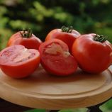 Томат Таня F1
