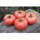 ТЕХ 2721 F1 семена томата индет. розового (Taki Seeds)