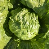 Салат Данило