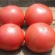 ТЕТМ 010 F1 семена томата индет. розового (Taki Seeds) (250 сем.)