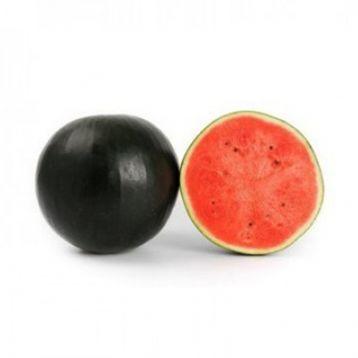 Кавун Конгуіта F1