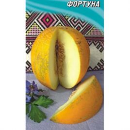 Дыня Фортуна