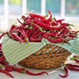 Перец горький Пинокио F1