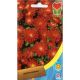 Айстра карликова червона (Red)