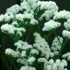 Статица Айсберг белая