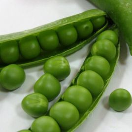 Горох Продиджи 