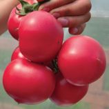 Томат Пинк Джаз F1