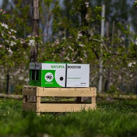 Джмелі Натупол Бустер (Natupol Booster)