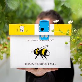 Джмелі Іксель NATUPOL Excel Hive