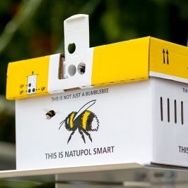 Джмелі Смарт NATUPOL Smart Hive