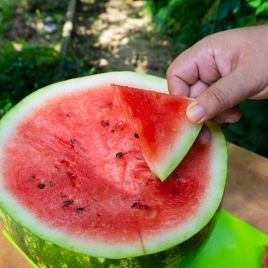 Термез F1 семена арбуза тип кр.св. раннего 55-60 дн. 9-11 кг овал. (Enza Zaden)