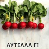 Редис Аутелла F1
