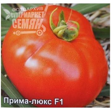 Прима-люкс F1 семена томата дет (Элитный ряд)