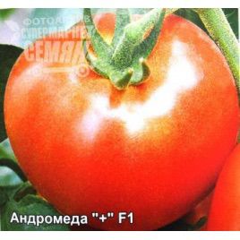 Андромеда F1 семена томата дет (Элитный ряд)