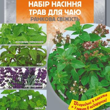 Набор семян трав для чая Утренняя свежесть 4+1 