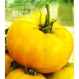 Микадо жёлтый семена томата индет желтого (Элитный ряд)