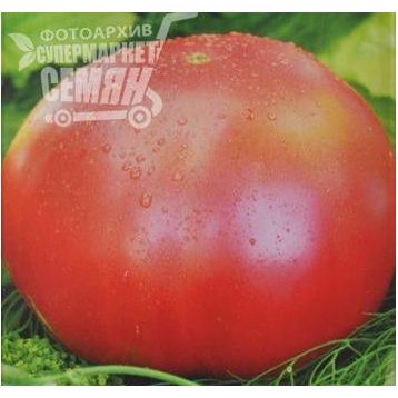 Малиновый гигант семена томата индет розового (Элитный ряд)