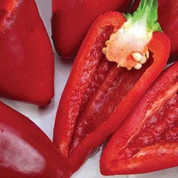 Перец Иволга