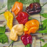 Перец Хабанеро смесь