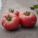 Томат Ладженда F1