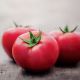 Томат Ладженда F1