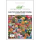 Кактус комнатный смесь