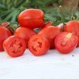 Томат ПЛ 0548 F1 (PL 0548 F1) 