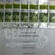 Агрессор F1 семена капусты б/к среднепоздней 110-120 дней 3-5 кг окр. (Syngenta)