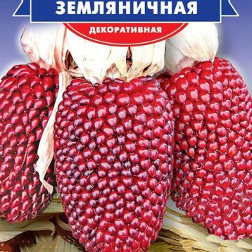 Кукуруза декоративная Земляничная