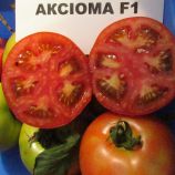 Томат Аксіома F1