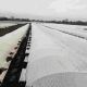 Агроволокно 19 г/м2, 6,35 м Agrispan