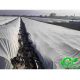 Агроволокно біле 30 г/м2, 8,5 м Premium-Agro