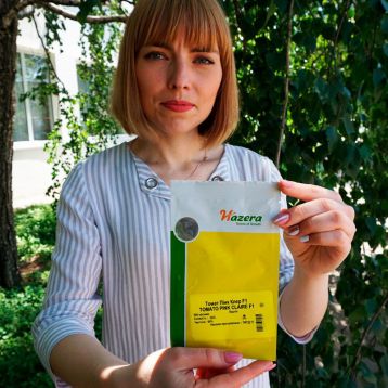 Пинк Клер F1 (HTP-11) семена томата индет. розового (Hazera)