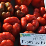 Перець Геркулес F1 