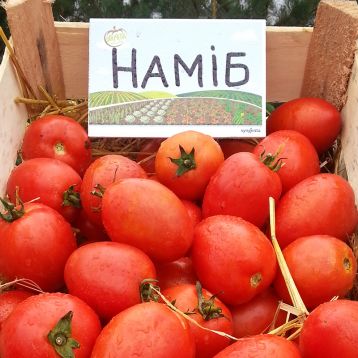 Томат Намиб F1