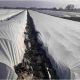 Агроволокно белое с укрепленными краями 23 г/м2, 6,35 м Premium-Agro