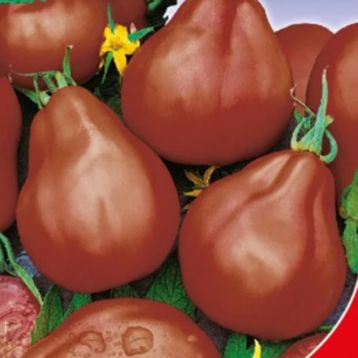 Томат Японский трюфель черный