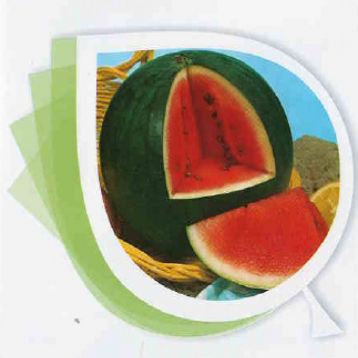 Арбуз Восточный принц