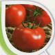 Томат Барин
