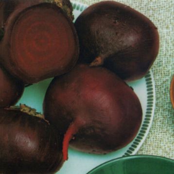 Свекла столовая Селянская