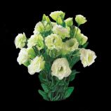 Еустома Супер Меджик F1 зелена