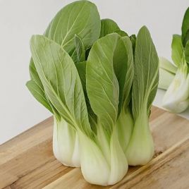Капуста китайская Чайниз Уайт