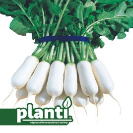 ПЛ 460 F1 (PL 460 F1) семена редьки 50 дн. 80-90 г цилиндр. бел. (Asia Seed)