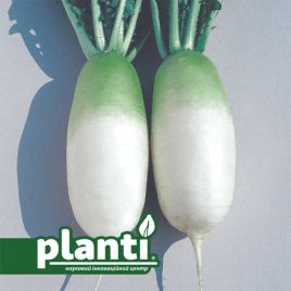 ПЛ 440 F1 (PL 440 F1) семена редьки 65-70 дн. 1300 гр. цилиндр. бел. (Asia Seed)