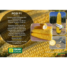 Рози F1 семена кукурузы Sh2 ранней 24-26 см 14-16 р. (Yuksel)