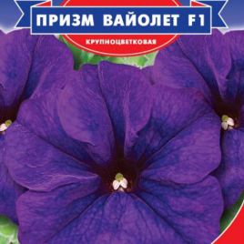 Петуния Призм Вайолет F1 